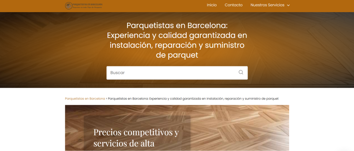 agencia de seo local