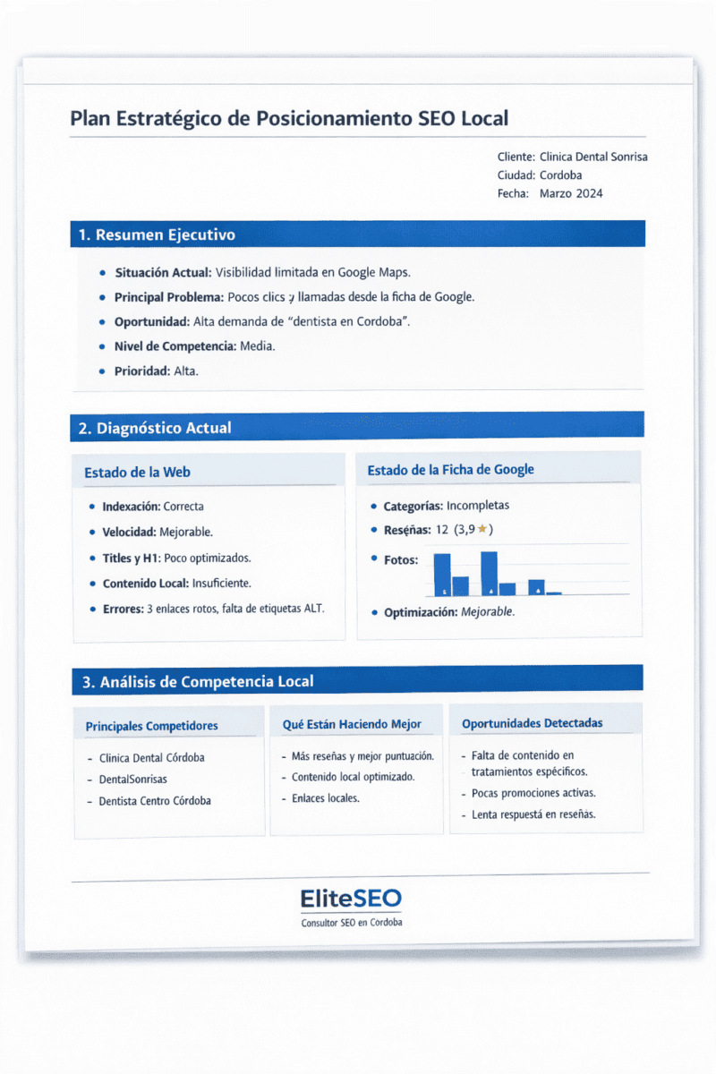 consultor seo en cordoba